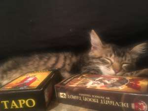 ������� ������ - ����������� 1