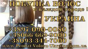 ������� ������ � ����� ������ ����� ������ ������ ���� - ����������� 1