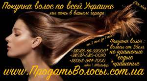 ������� ������ � ����� ������ �������� ������ ������ ������������ ������� - ����������� 1