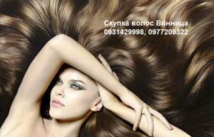 ������� ������ � �������. ������ ����� �������. - ����������� 1