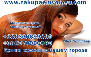 ������� ������ � �������� ������ 0970800090 - ����������� 1