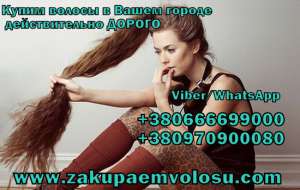 ������� ������ � ��������� ������ ����� ������ ������ ��������� - ����������� 1