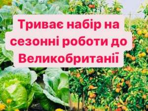 ������� ������ � �������������� - ����������� 1