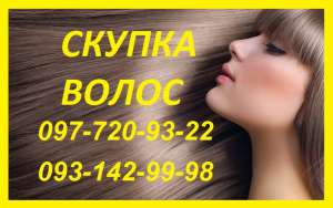 ������� ������ �� 40 ��. ���� �����. ����� ������ ������. - ����������� 1