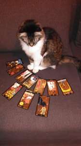 �������. ������ �� ����� - ����������� 1