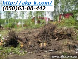 ������� ������ �� �������, ���������� ���� ����. - ����������� 1