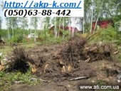 ������� � ����������: ������� ������ �� �������, ���������� ���� ����.