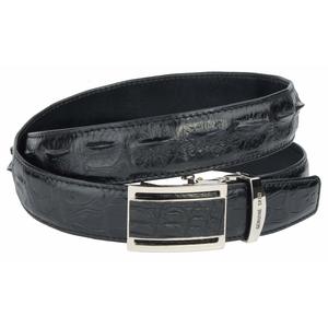 ������� ������ �� ����������� ���� ��������� ���������. - ����������� 1