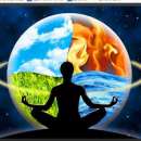 ������� � ����������: ������� ������ �� ������������ ������������ � ������� �� $2400 � �����