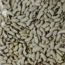 ������� ������ ��� ʳ���, ������� �������, ��� ����, ϳ��� - ����������� 1