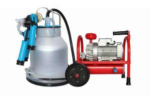 ������� ������ ��� ���� ��������-1 �������� - ����������� 1