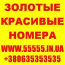 ������� � ����������: ������� ������ ���, ��������, ����, ������, ����������. ������ ����