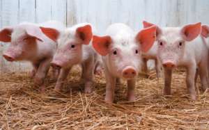 ������� ������ ���� ��� ������ �� ������ � ������ �� ��������� - ����������� 1