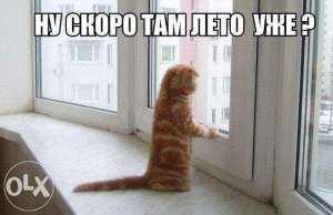 ������� ������ ����, ������, ����� ����, �����������, �������, ��������, ��� �������� - ����������� 1