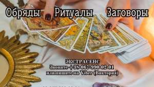 ������� ������ �����. ������ ����� ������� �� ������. �������� ��������. - ����������� 1