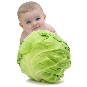 ������� ������ - ����� ���������� - ����������� 1