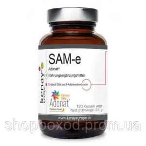 ������� ������ ������ 13 ��� ������� - ����������� 1