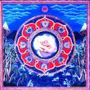 ������� � ����������: �������, ������ ������