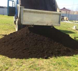 ������� ������ ������ - ����������� 1