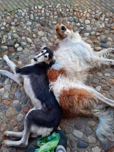 ������� ������ ������ � ������ ��� ����� - ����������� 1