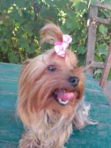 ������� ������ ������ �� ����� ��� ��� . ����� �����. - ����������� 1