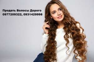 ������� ������ ������ �����, ����, �������. - ����������� 1