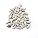 ������� ������. ������ ������. � ����������