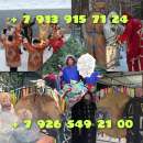 ������� ������, ������ ������� �� ������ ���� ��������� ���� ���������� ������� �������, ��� �������� � ������� ��������. �*�� - ����������� 3