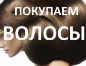 ������� ������ ������ ��������, �������, ���������.