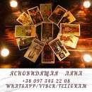 ������� ������. ������ �����������.