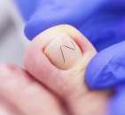 ������� � ����������: ������� ������, �������