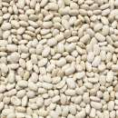 ������� ������ �������