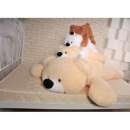 ������� � ����������: ������� ������ ������� ������, ����, �������