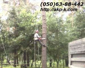 ������� ������. ������� ������� ����. ������, �����, ���������� ����������. - ����������� 1