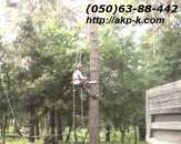 ������� � ����������: ������� ������. ������� ������� ����. ������, �����, ���������� ����������.