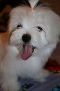 ������� ������ ��������. - ����������� 1