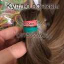 ������� � ����������: ������� ������ �������� , ����� ������ ��������