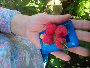 ������� ������ �������� ������ - ����������� 1