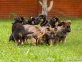 ������� � ����������: ������� ������ �������� ������� ��������� � ���������� �������.