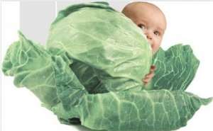 ������� ������ ��������� �� ��������� ���� � ������ ������������� ��������. - ����������� 1