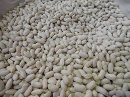 ������� ������. ��������� ���������. ������������ ����� ������. - ����������� 1