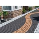 ������� ������ ���������� ���