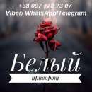 ������� � ����������: �������. ������ �����������.