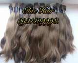 ������� � ����������: ������� ������ �����������, �������, ������ ���