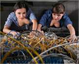 ������� � ����������: ������� ������ �����������,���������.���� ��������o