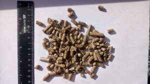 ������� �������, 6 �� - ����������� 1