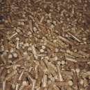 ������� ������� 6�� ��� 8�� ��� ������� �� ��������