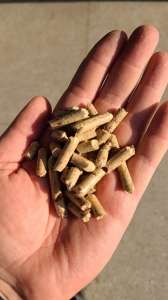 ������� ������� 6�� ��� 8�� ��� ������� ��� ��� �������� - ����������� 1