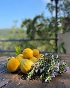 ������� , ������� - ����������� 1