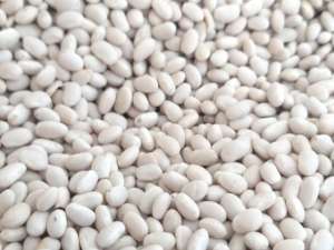 ������� ������� - ����������� 1